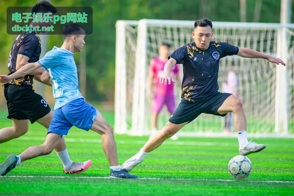 电子娱乐pg网站新版本上线公告封面